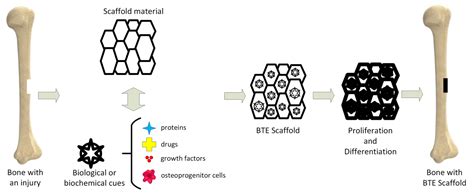 Additive Manufactured Magnesium-Based Scaffolds for Tissue Engineering