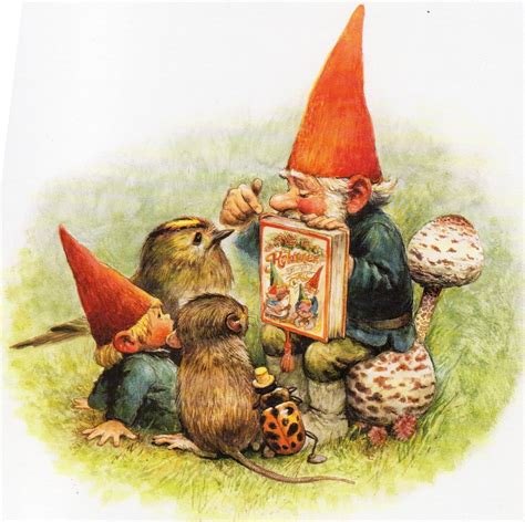 The Book Of Gnomes