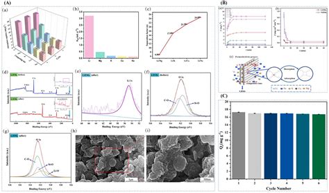 Progress and Prospect of Ion Imprinting Technology in Targeted ...