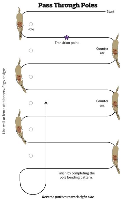 Image result for Pole Bending Tips