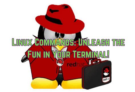 Image result for Fun Commands On Linux