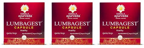 Buy Kerala Ayurveda Lumbagest Capsule- 90 Count x Pack of 3 Online at ...