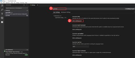 Image result for Visual Code and openHAB