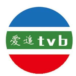 TVB迷必备：这几个工具是观看TVB电视剧的好去处 - 每日头条