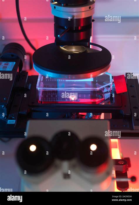 Image result for Inverted Light Microscope