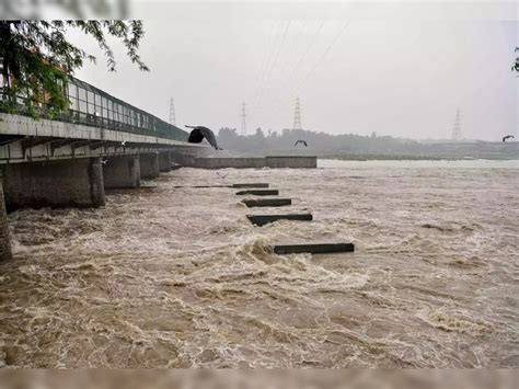 delhi Yamuna Action Plan RTI revelation djb 1011 crore rupees spent to ...