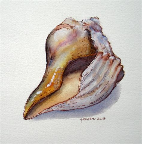 Image result for Conch Shell Drawing