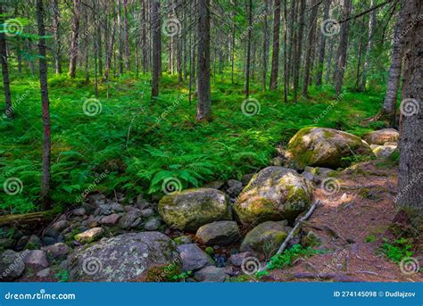 Image result for Internship Blog Example