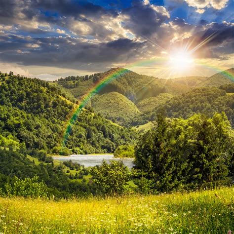 Beautiful Clean Environment 的图像结果