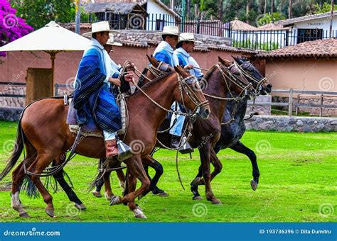 Paso Peruvian Horse-Wayra Urubamba - Peru 74 Editorial Photo - Image of ...