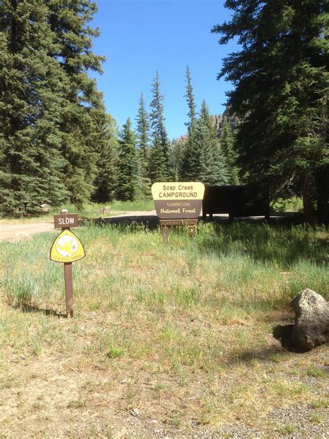 Soap Creek Campground Colorado: Camping Reservations & Amenities