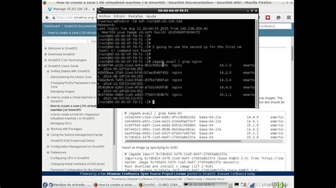 Image result for Nginx Zone