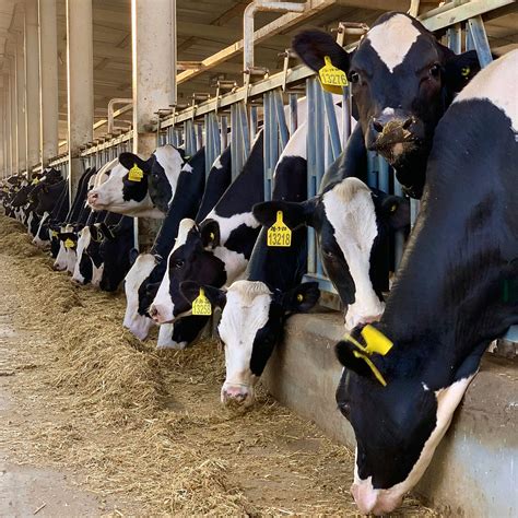 ECOBOT Automatic Organic Waste Recycling Machine | Waste to Fertilizer ...