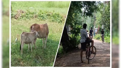 temperature is increasing in environment due to not stopping killing of ...
