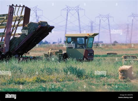 Image result for Hay Stacker Machine