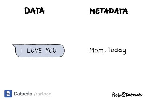 Data vs Metadata 的图像结果