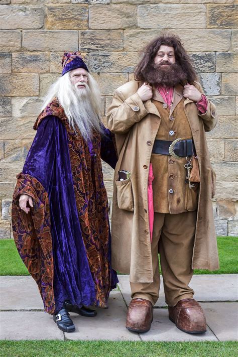 Rubeus hagrid costume – Artofit