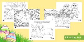 Foundation Phase Creative Arts Spring Animals Colouring Page