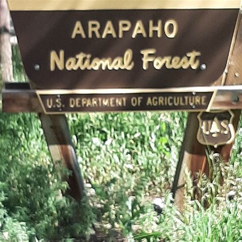Upper and Lower Ansel Watrous Campgrounds | Livermore, Colorado