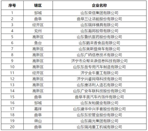 济宁市第一批上云标杆企业名单公示_山东频道_凤凰网