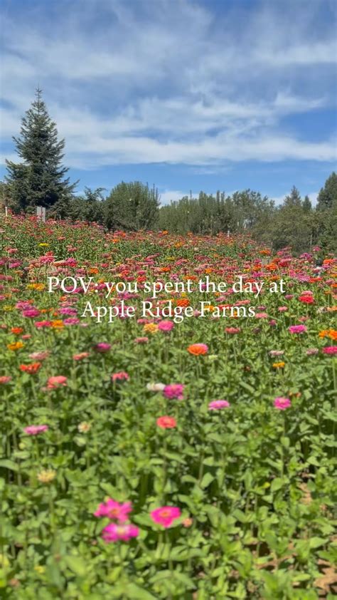 Apple Ridge Farms (@appleridgefarms) • Instagram photos and videos