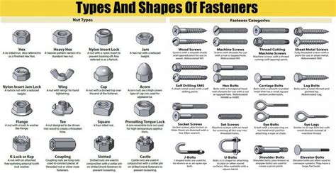 Image result for Computer Science Class 10 Text