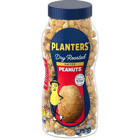 Planters Dry Roasted Peanuts Jar, 453 g - Fetch N Buy