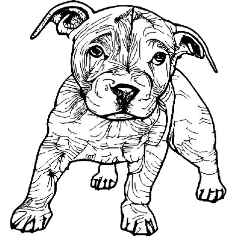 Coloring Page Pit Bull