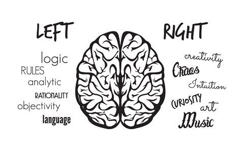 Brain Function 的图像结果