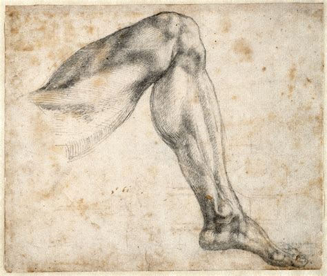 Image result for michelangelo anatomy studies