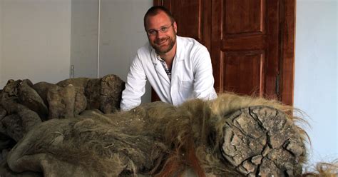 Woolly mammoths ‘evolved smaller ears and fluffier coats over 700,000 ...