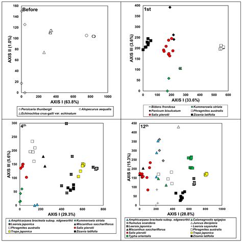 Vegetation Succession for 12 Years in a Pond Created Restoratively