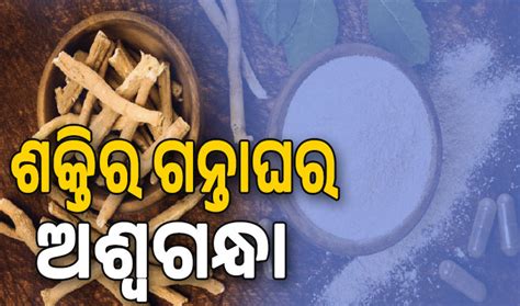 ଶକ୍ତିର ଗନ୍ତାଘର ଅଶ୍ବଗନ୍ଧା… - The Sakala