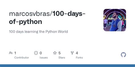 100 Days of Code Python 的图像结果