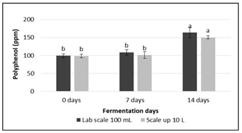 Scaling Up Red Ginger Kombucha Fermentation: Insights into Its Chemical ...