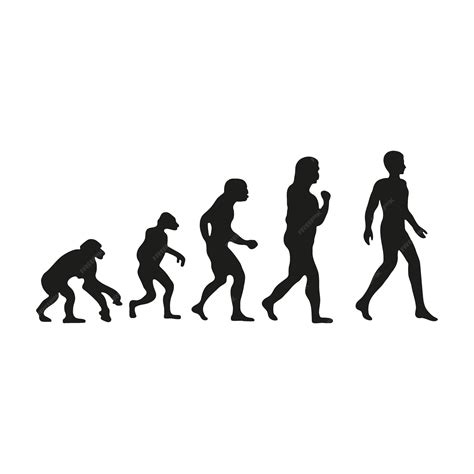 Premium Vector | Man evolution Silhouette progress growth development ...