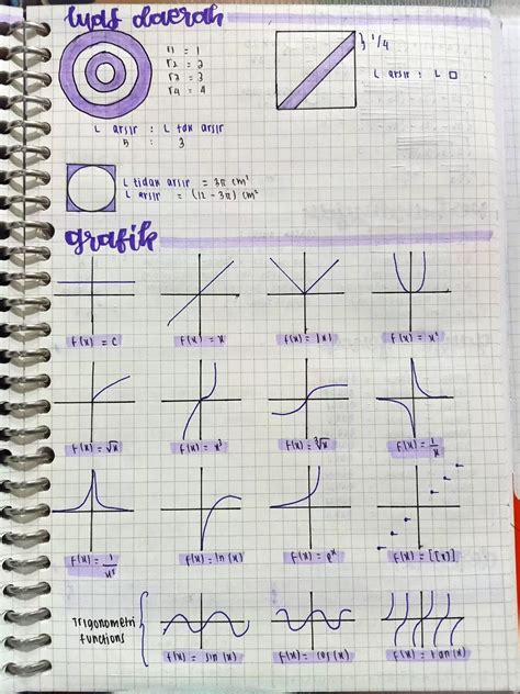 Graphs of Different Types of Functions Maths 的图像结果