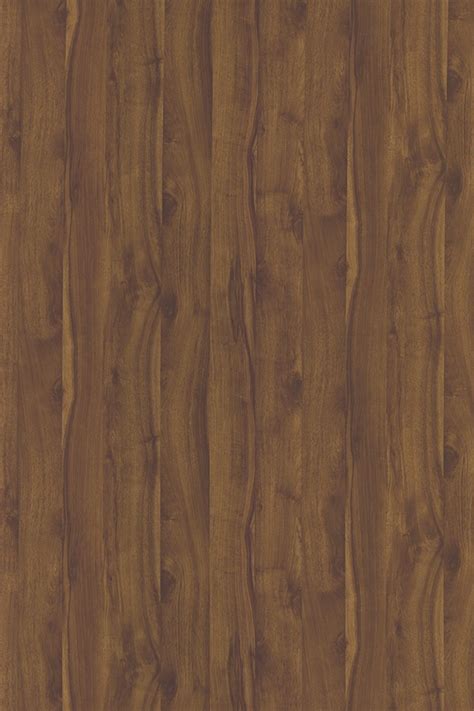 216 CHESTNUT CHARM || Goldlam