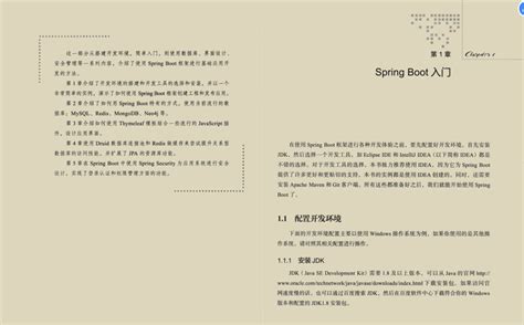 Java Spring Book 的图像结果