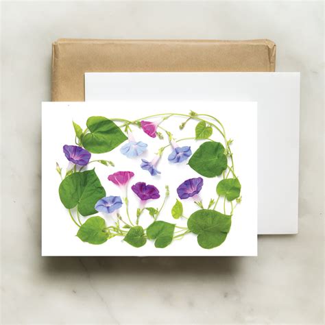 Folding card - Morning Glory Colors – BottleBranch
