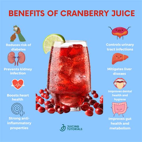 Benefits Of Natural Cranberry Juice at Janita Huang blog