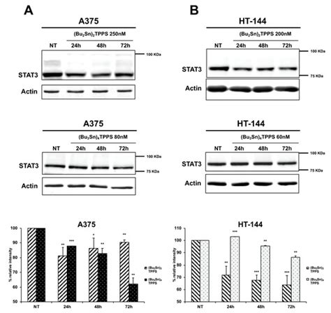 Dibutyltin(IV) and Tributyltin(IV) Derivatives of meso-Tetra(4 ...