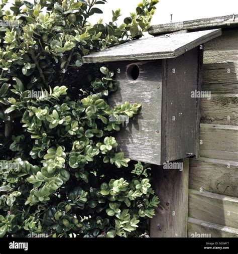 Image result for Bird Netting Box