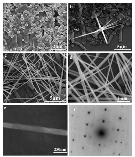 Image result for Selenium Crystal Structure