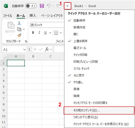 Excel Input Form 的图像结果