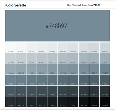Bluish Grey Color | 748b97 | Color conversion CMYK | Hsl | Rgb ...