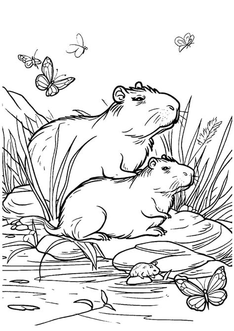 Page 9 | Capybara coloring page kids Images - Free Download on Freepik