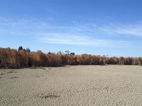 Baylands Nature Preserve in Palo Alto, CA | Nature preserve, Natural ...
