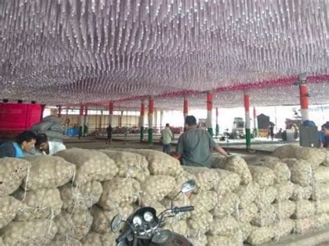 Onion-Potato Traders: VIP movement at APMC will lead to a day's loss ...