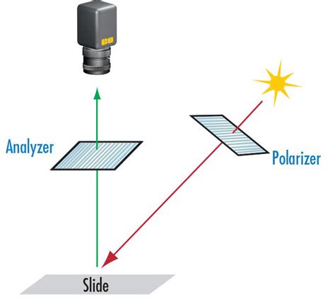Introduction to Polarization | Edmund Optics